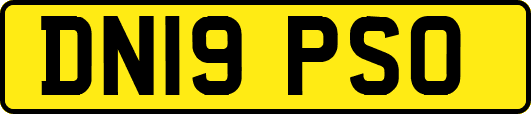 DN19PSO