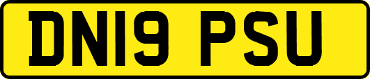 DN19PSU