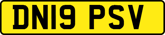 DN19PSV