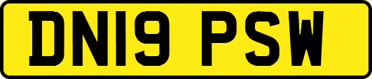 DN19PSW