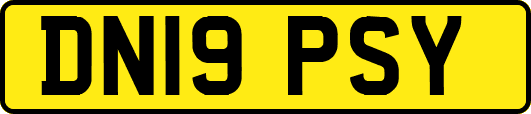 DN19PSY