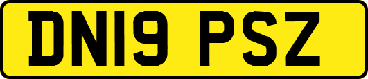 DN19PSZ