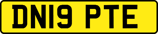 DN19PTE