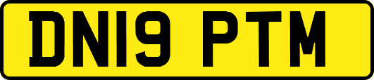 DN19PTM