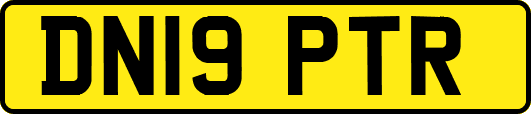 DN19PTR