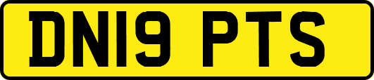 DN19PTS