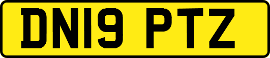 DN19PTZ