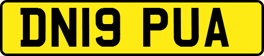 DN19PUA