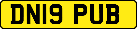 DN19PUB