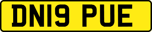 DN19PUE