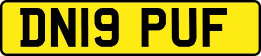 DN19PUF