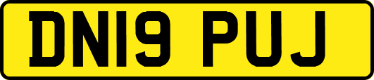 DN19PUJ