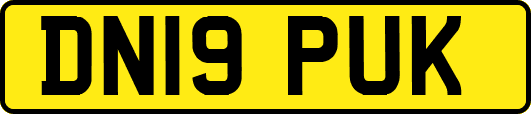 DN19PUK