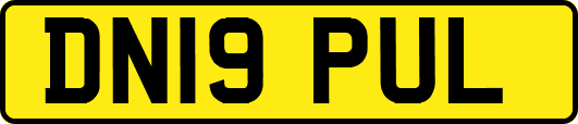 DN19PUL