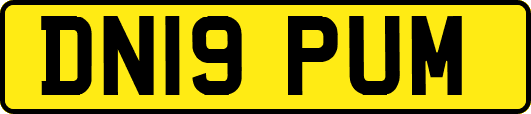 DN19PUM