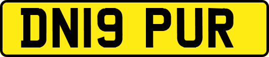 DN19PUR
