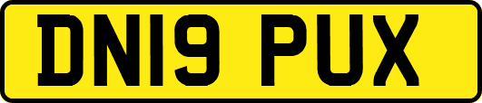DN19PUX