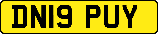 DN19PUY