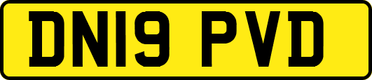DN19PVD