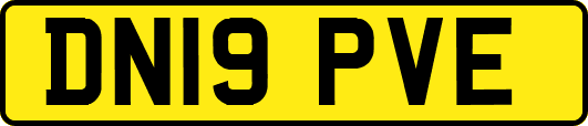 DN19PVE