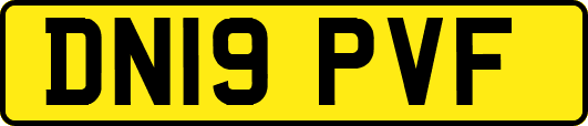 DN19PVF