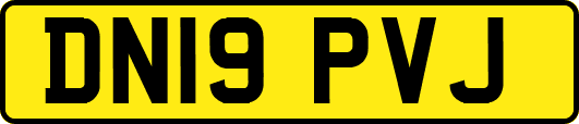 DN19PVJ