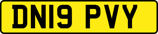DN19PVY