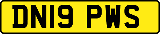 DN19PWS