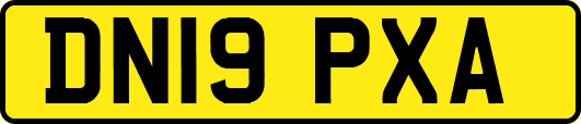 DN19PXA