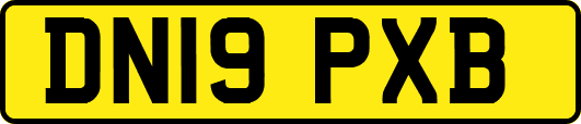 DN19PXB