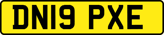DN19PXE
