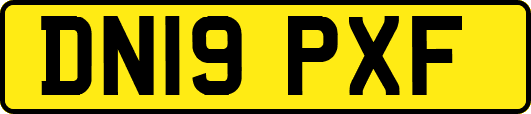 DN19PXF