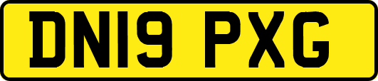 DN19PXG