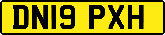 DN19PXH