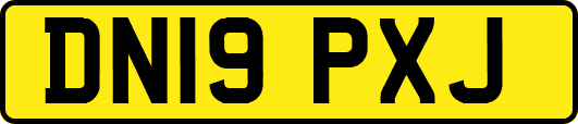 DN19PXJ
