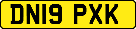 DN19PXK