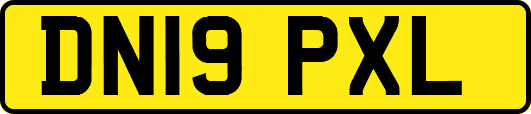 DN19PXL