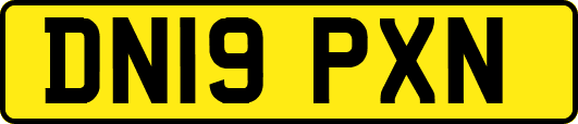 DN19PXN