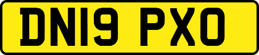 DN19PXO