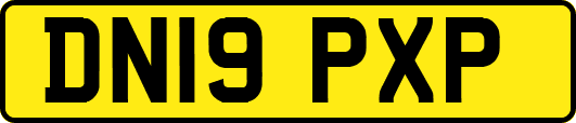 DN19PXP