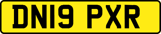 DN19PXR