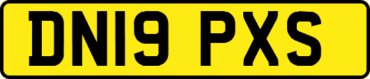 DN19PXS