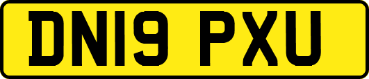 DN19PXU