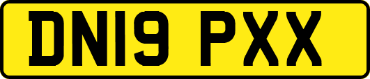 DN19PXX
