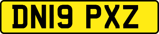DN19PXZ