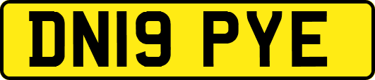 DN19PYE