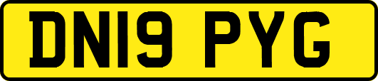 DN19PYG
