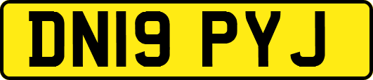DN19PYJ