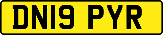 DN19PYR