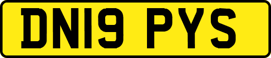 DN19PYS